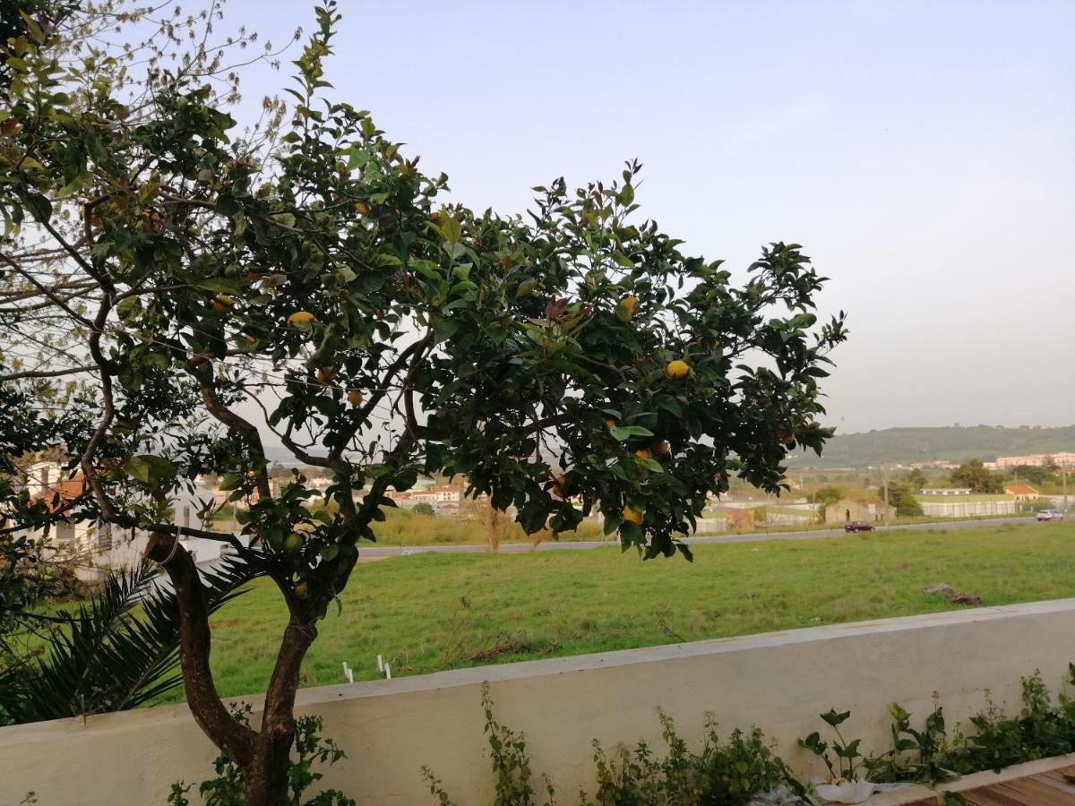 Plena Vita Residence Loures Buitenkant foto